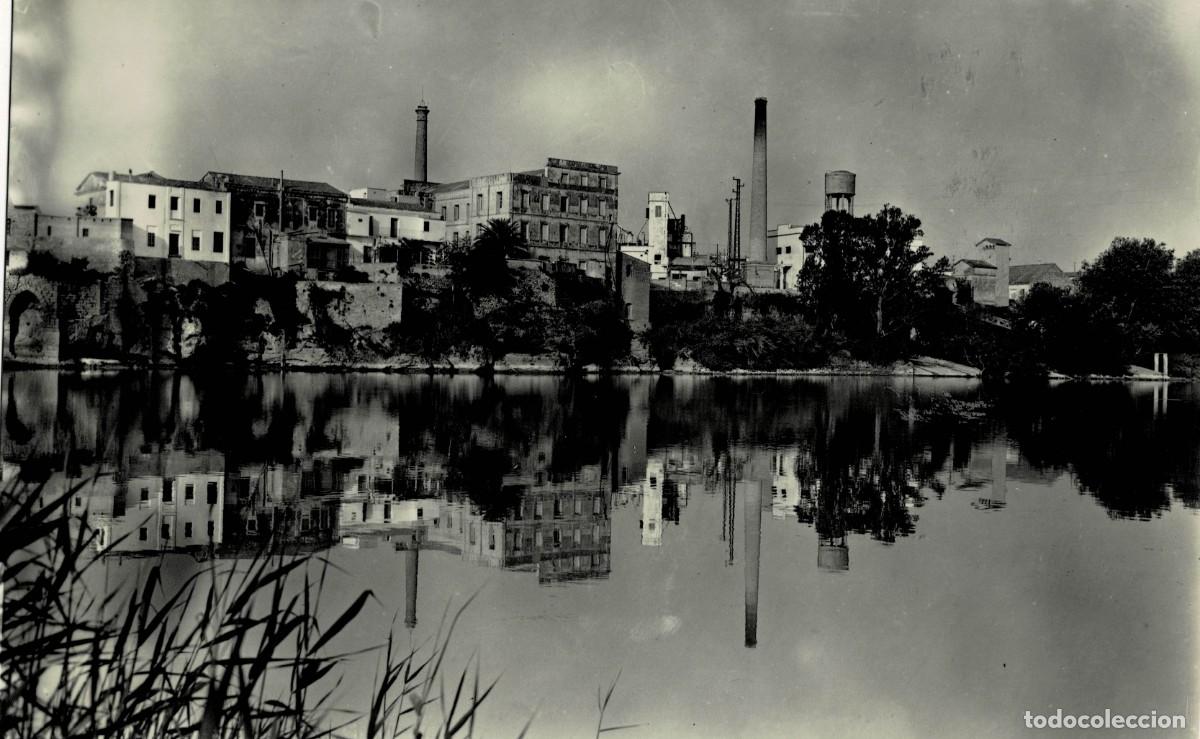 Postales: POSTAL MODERNA DE CATALU&Ntilde;A. AMPOSTA. PARAJE DONDE SE VE LA CIUDAD SOBRE EL EBRO. P-CAT-2181