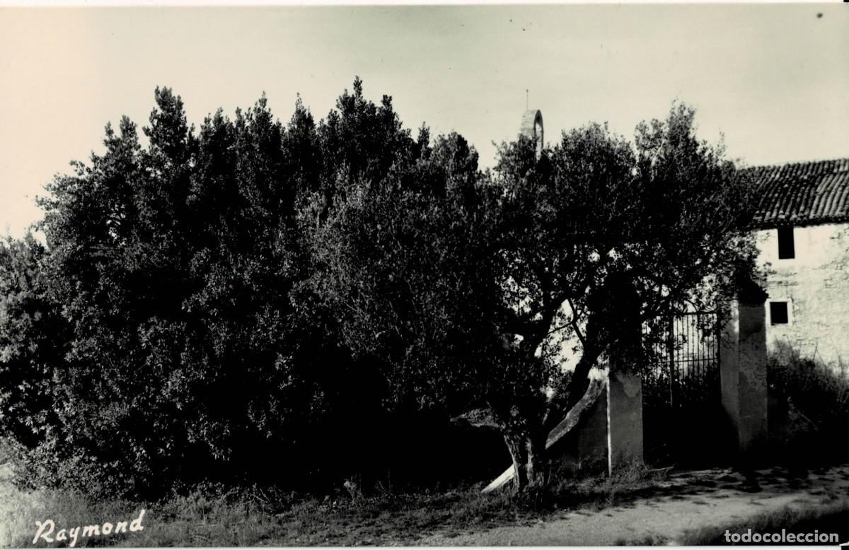 Postales: POSTAL MODERNA DE CATALU&Ntilde;A. SARREAL. ERMITA STOS. COSME Y DAMIAN. P-CAT-2193