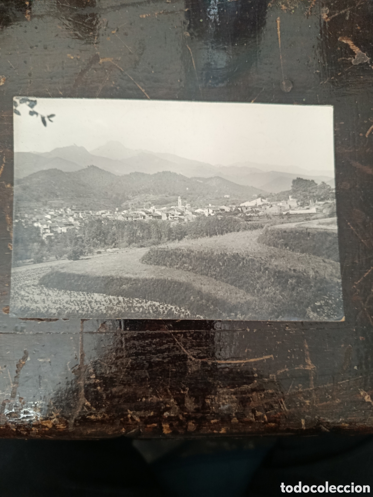 Postales: Postal arbucias vista general