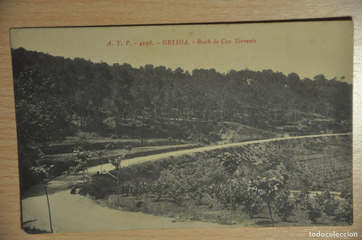 Postales: postal gelida, bosch de can torrents, atv 4196