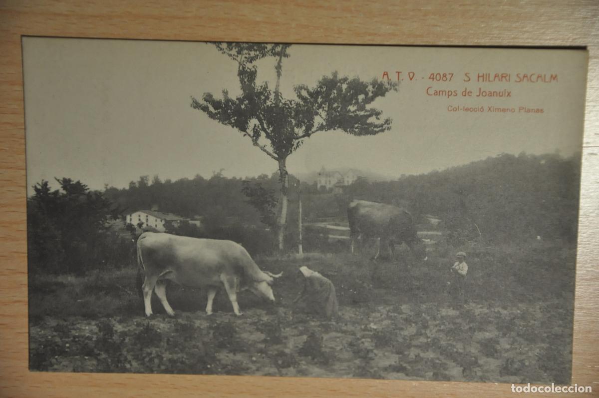 Postales: postal s.hilari sacalm, camps de joanuix, col.leccio ximeno planas, atv 4087
