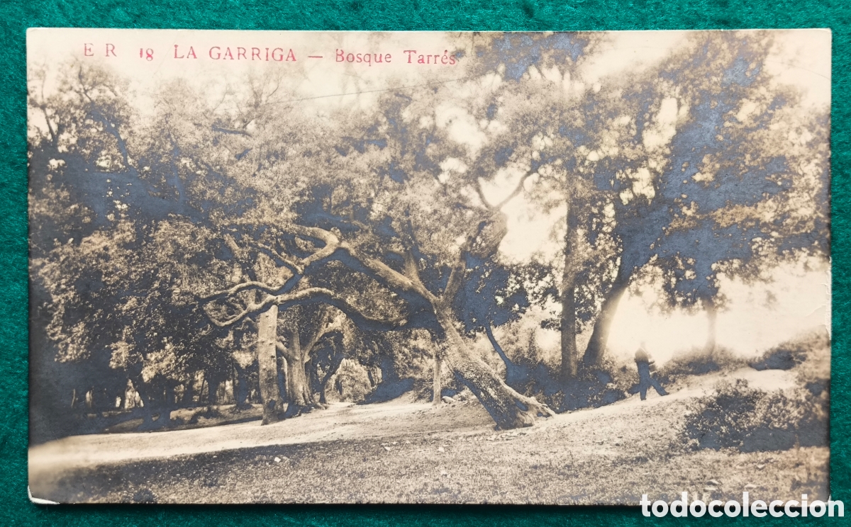 Postales: LA GARRIGA BOSC TARR&Eacute;S POSTAL FOTOGR&Aacute;FICA VALL&Egrave;S BARCELONA C. 1920