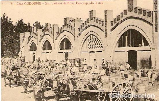 Postales: San Sadurn&iacute; de Noya.- Descargando la uva. Casa Codorniu