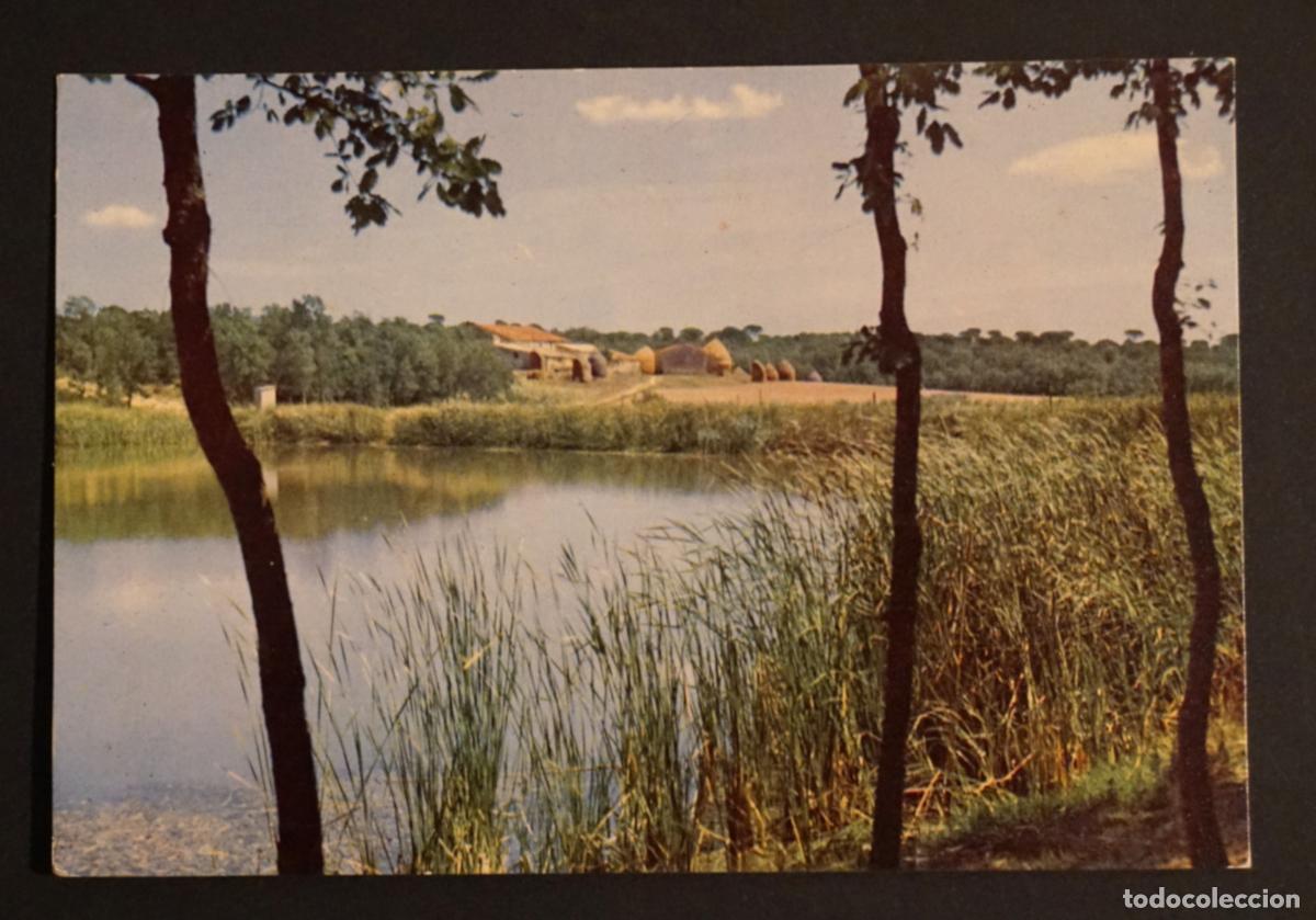 Postales: Caldes de Malavella, Pantano &rdquo;Can Matllo&rdquo;. Postal sin circular editada en el a&ntilde;o 1959
