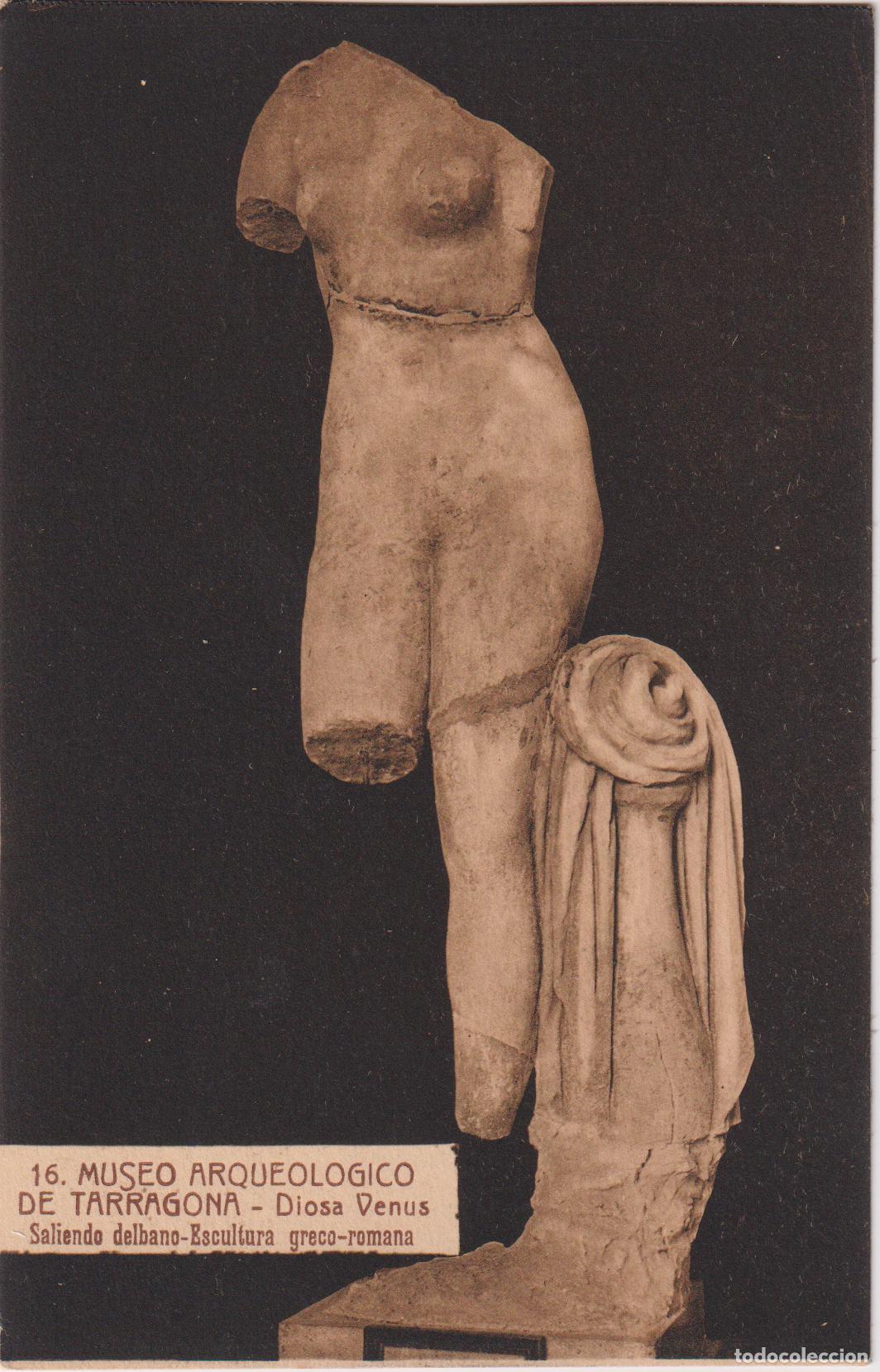 Postales: MUSEO ARQUEOLOGICO DE TARRAGONA, DIOSA VENUS &ndash; L.ROISIN N&ordm;16 &ndash; S/C