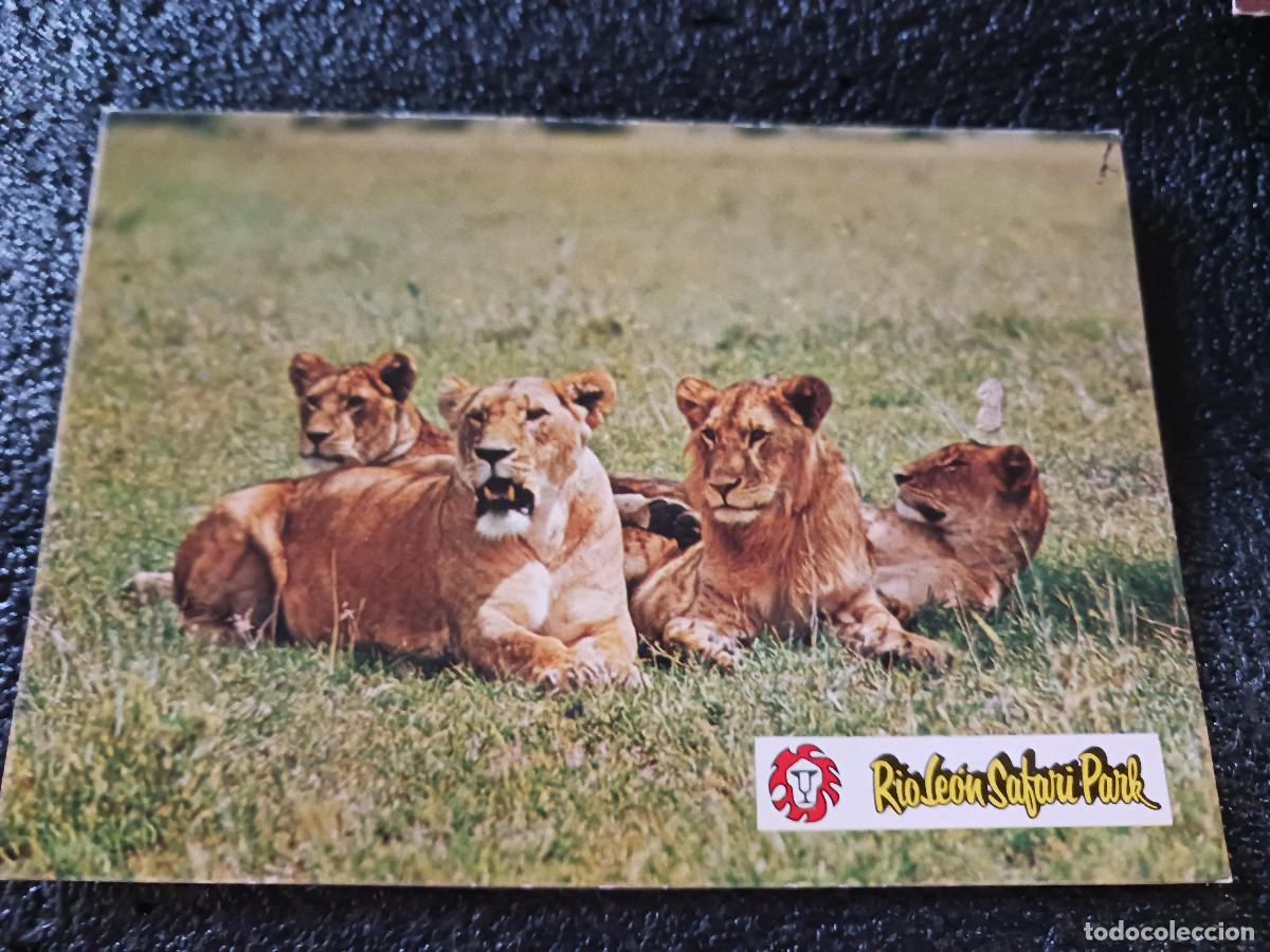 Postales: 12 R&iacute;o Le&oacute;n. Safari Park. albi&ntilde;ana, tarragona