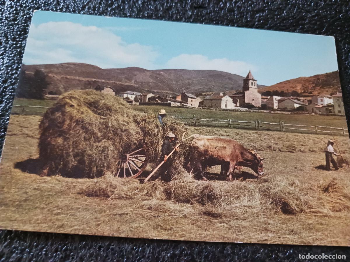 Postales: 1392 ALP CERDA&Ntilde;A, CARRETA TIPICA, ed. campa&ntilde;a, circulada 1958