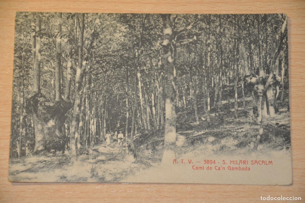 Postales: postal s.hilari sacalm, cami de ca&acute;n gambada, atv 3894