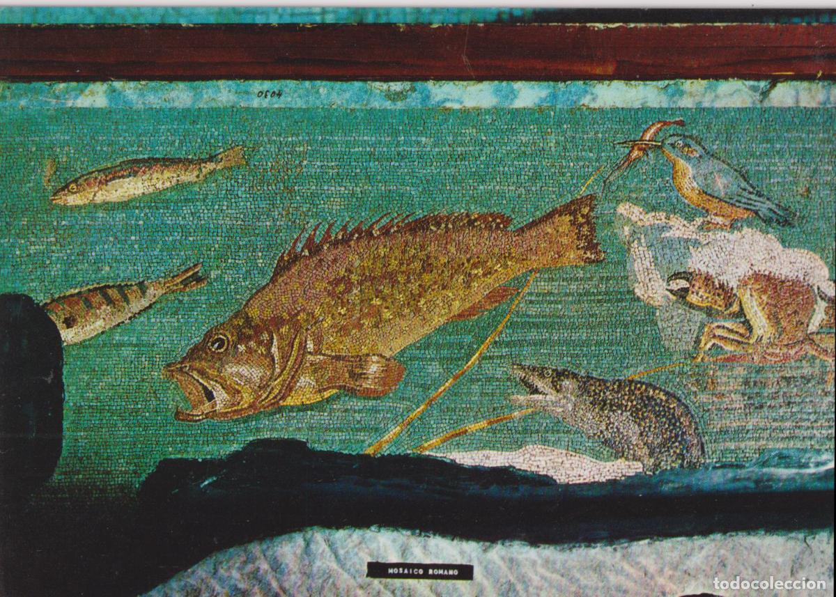 Postales: AMPURIES (GIRONA) MOSAICO HELENISTICO LLAMADO DE LOS PECES - V.C.FABREGAT 1439 - S/C