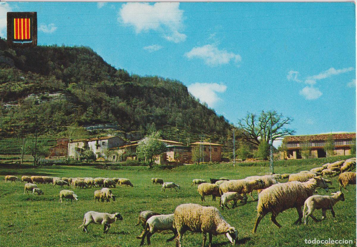 Postales: VIDRA (GIRONA) PRATS DEL CAVALLER I CREU DE L'ARC - ESCUDO DE ORO N&ordm;5850 - CIRCULADA