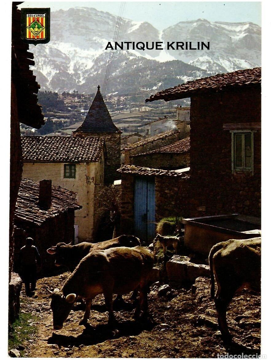 Postales: QUER-FORADAT N&ordm; 2806 VISTA PARCIAL AL FONDO EL CADI / ESCUDO DE ORO / SIN FRANQUEAR