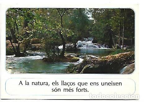 Postales: &rdquo; A LA NATURA, ELS LLA&Ccedil;OS QUE ENS UNEIXEN SON MES FORTS &rdquo;