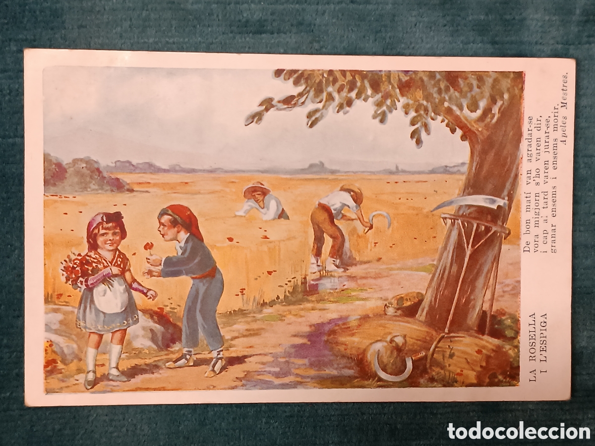 Postales: LA ROSELLA I L'ESPIGA