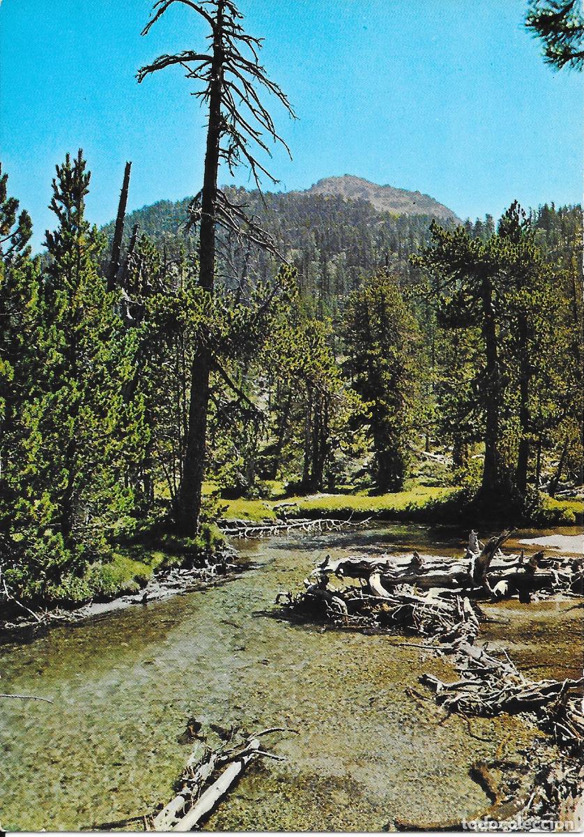 Postales: [POSTAL] Parque nacional Aig&uuml;es Tortes. Boh&iacute; (Lleida) (sin circular)