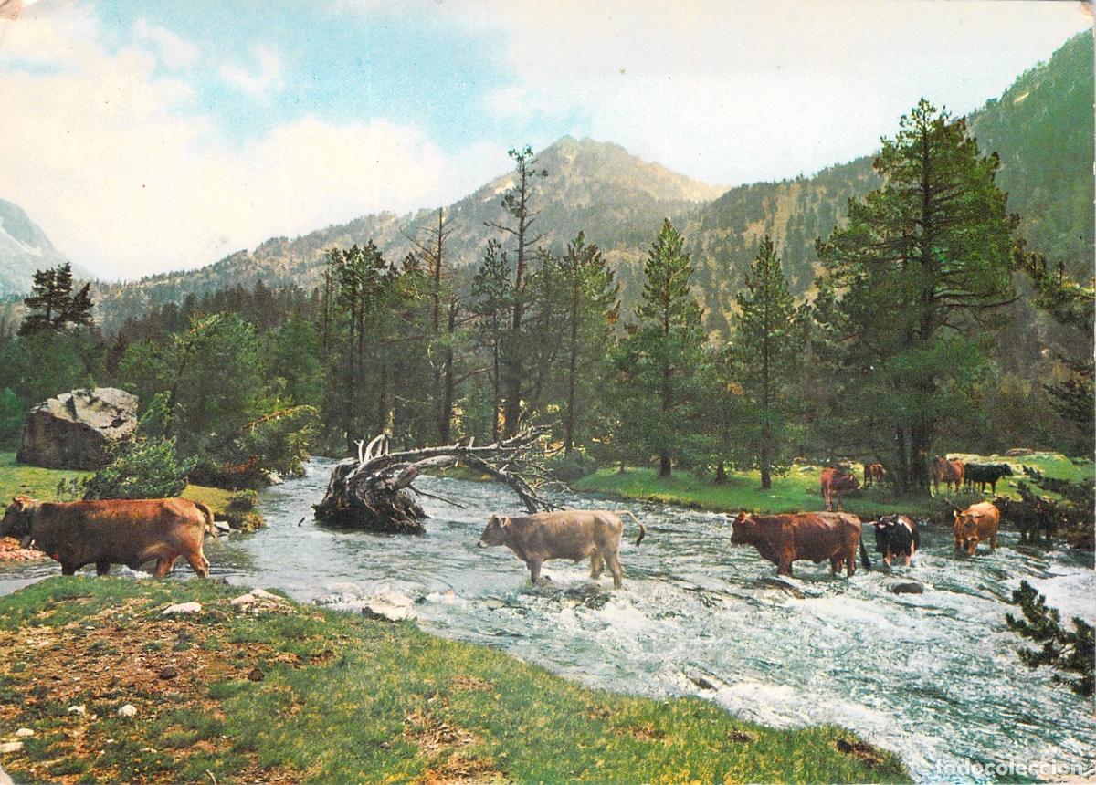 Postales: Postal del Parque Nacional de Aig&uuml;estortes en el Pirineo de Lleida