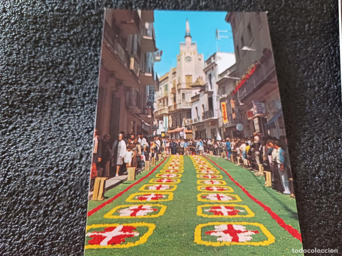 Postales: 5376 sitges, alfombra de flores en calle parellada y cap de la vila, ed. campa&ntilde;a
