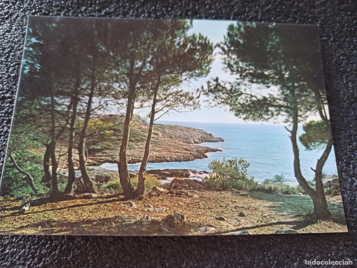 Postales: 23 salou, un aspecto de la costa, ed. raymond