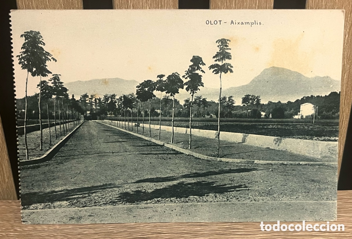Postales: POSTAL: OLOT, AIXAMPLIS. sin circular