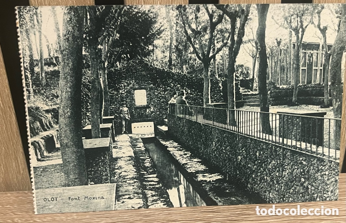 Postales: POSTAL OLOT: FONT MOXINA. sin circular