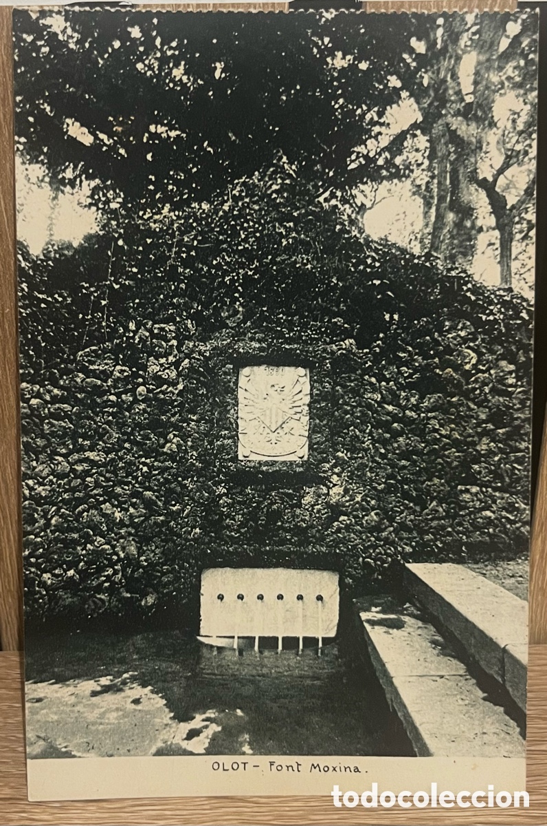 Postales: POSTAL OLOT: FONT MOXINA. sin circular
