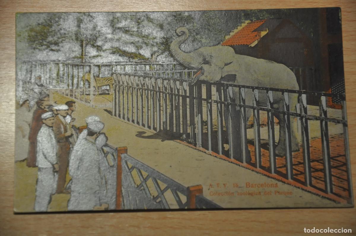 Postales: postal coloreada barcelona, coleccion zoologica del parque, atv 16