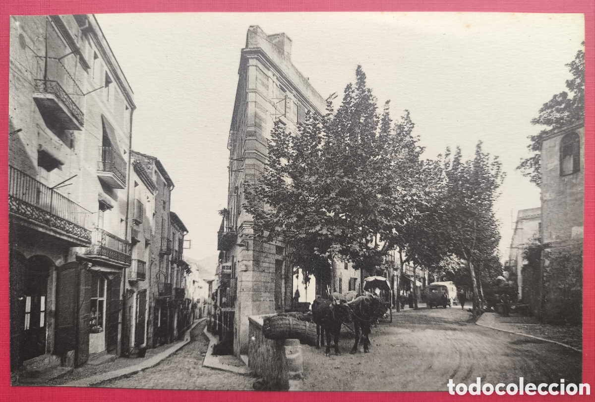 Postales: ARB&Uacute;CIES CARRER CAMPRODON POSTAL FOTOGR&Aacute;FICA ANIMADA GIRONA C. 1915