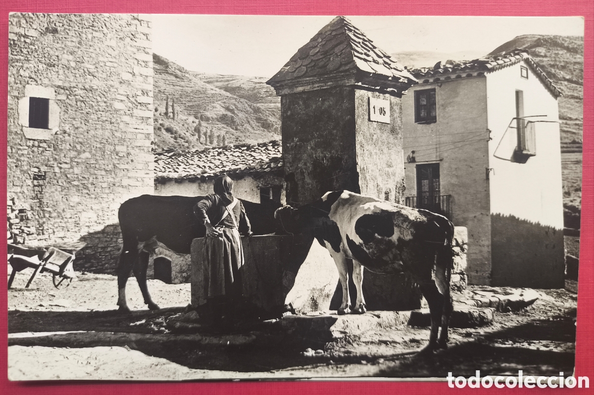 Postales: CASTELLAR DE N'HUG FONT DE DALT NOIA DE CAN PERE MIQUEL AMB VAQUES POSTAL FOTOGR&Aacute;FICA BERGUED&Agrave;