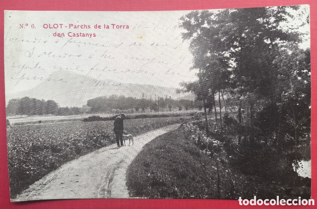 Postales: OLOT PARC TORRE CASTANYS POSTAL ANIMADA FOTOTIPIA CIRCULADA GIRONA 1913