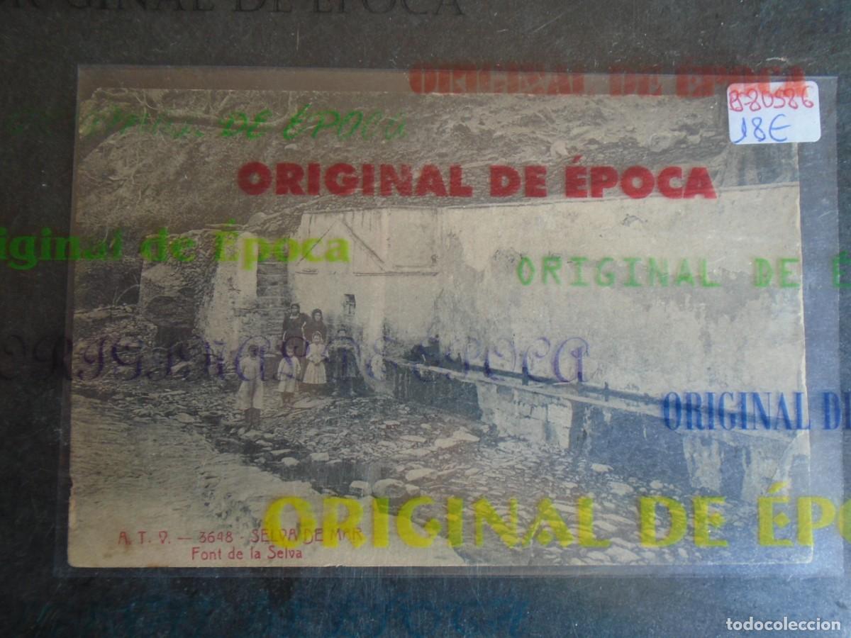 Postales: (PS-80586)POSTAL DE SELVA DE MAR-FONT DE LA SELVA.A.T.V.3648