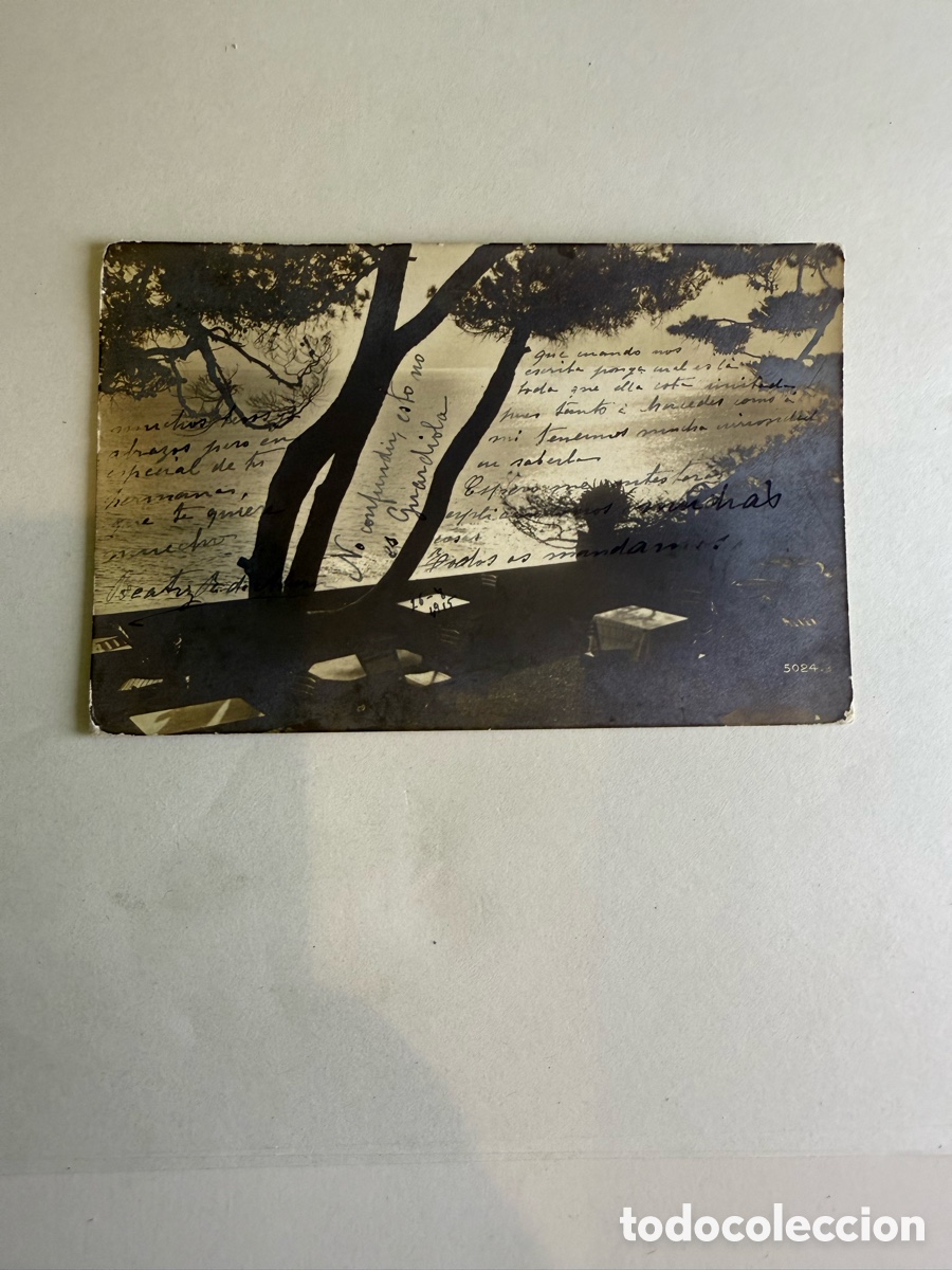 Postales: Tarjeta postal paisaje costero con terraza y pinos c. 1910 Blanco y negro Original de la &eacute;poca