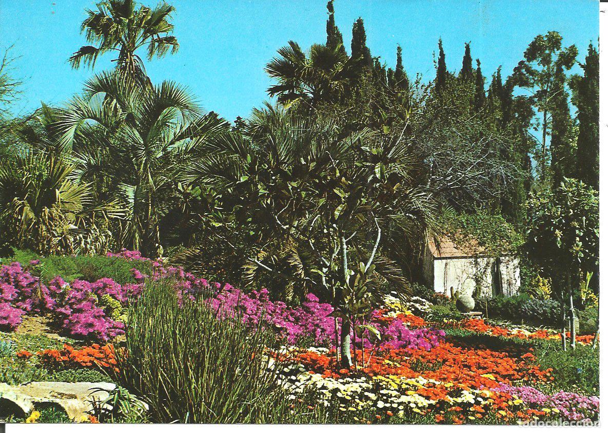 Postales: POSTAL BLANES (GIRONA) - JARDIN BOTANICO *MARIMURTRA* - ED. RO-FOTO
