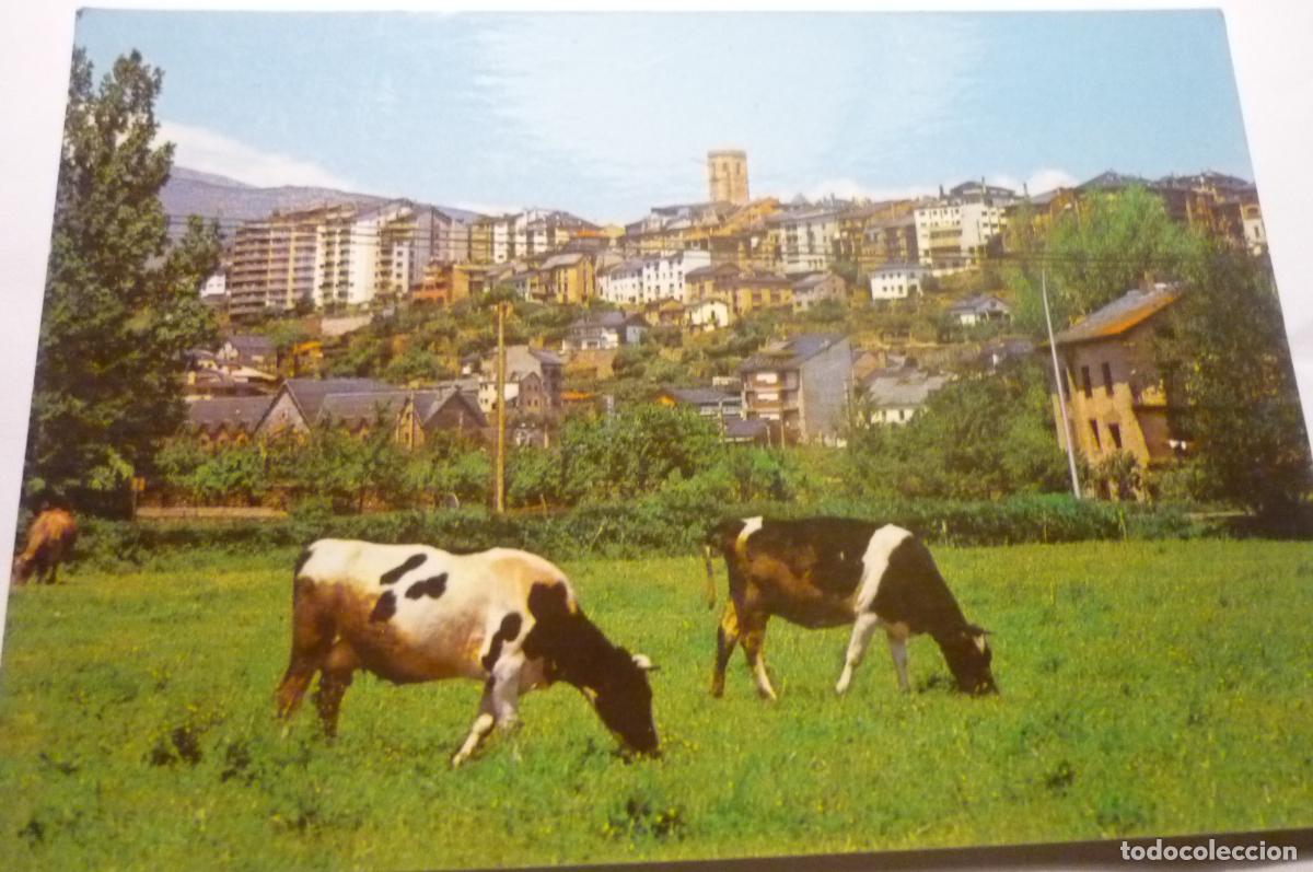 Postales: postal puigcerda panoramica