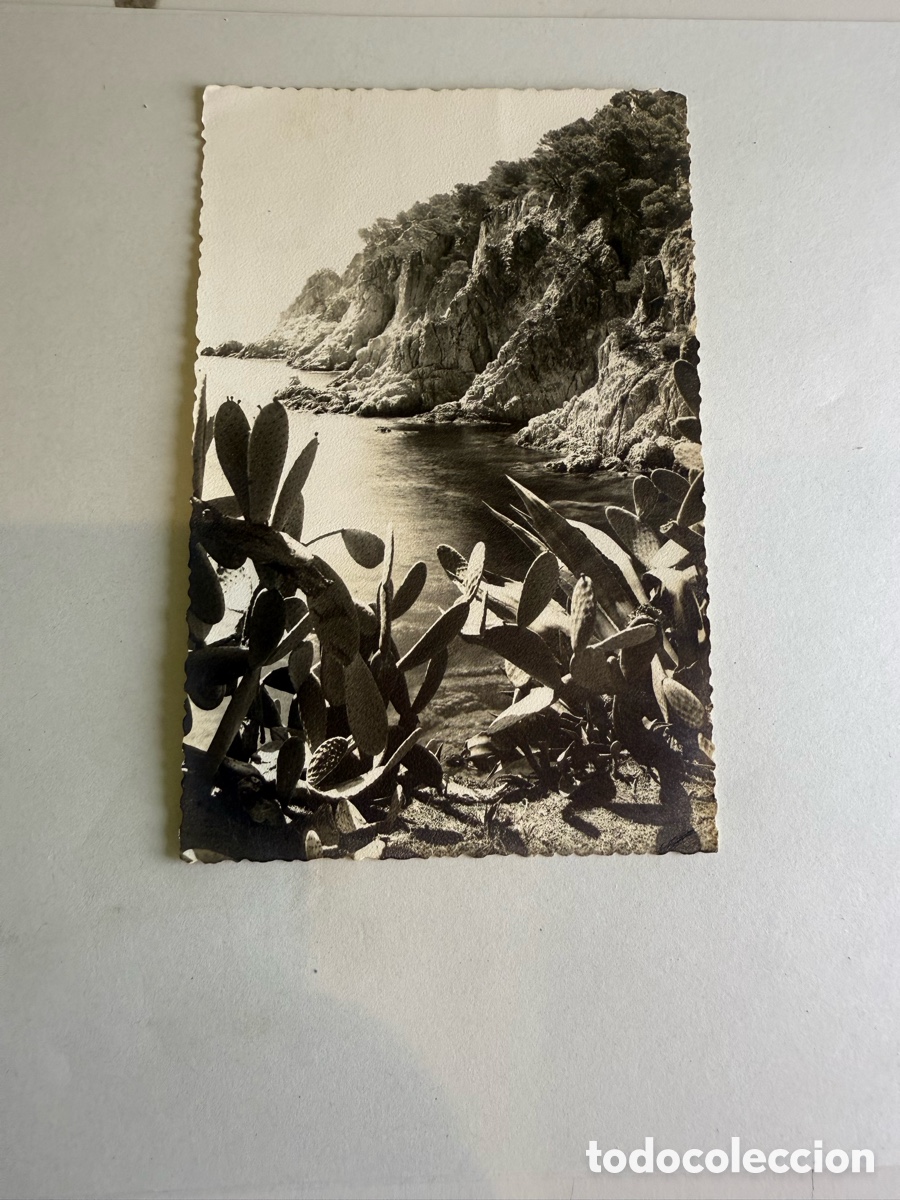Postales: Postal Tamariu 1957 &ndash; Aigua Xelida &ndash; Blanco y negro &ndash; Original de la &eacute;poca