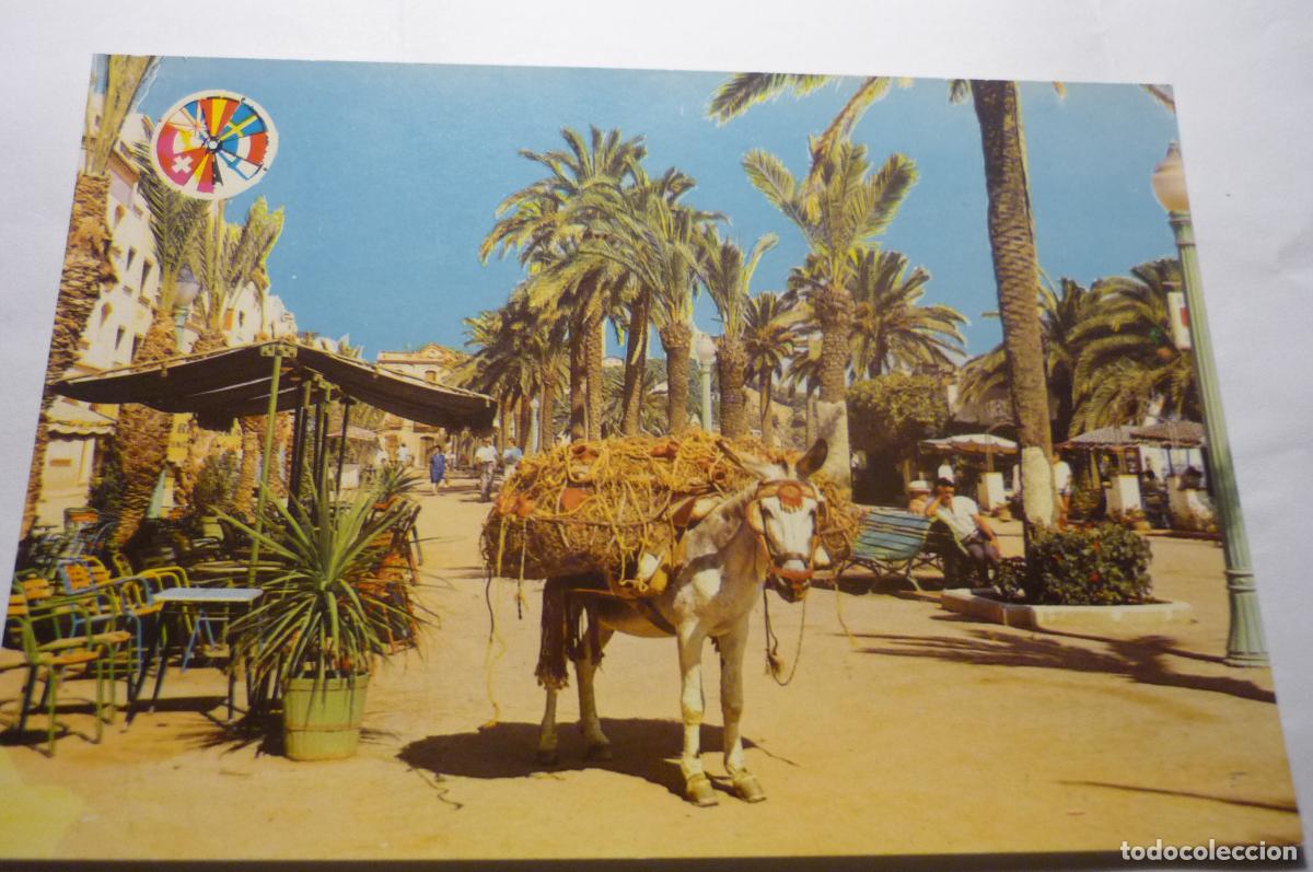 Postales: postal lloret- p&ordm; mar botijero