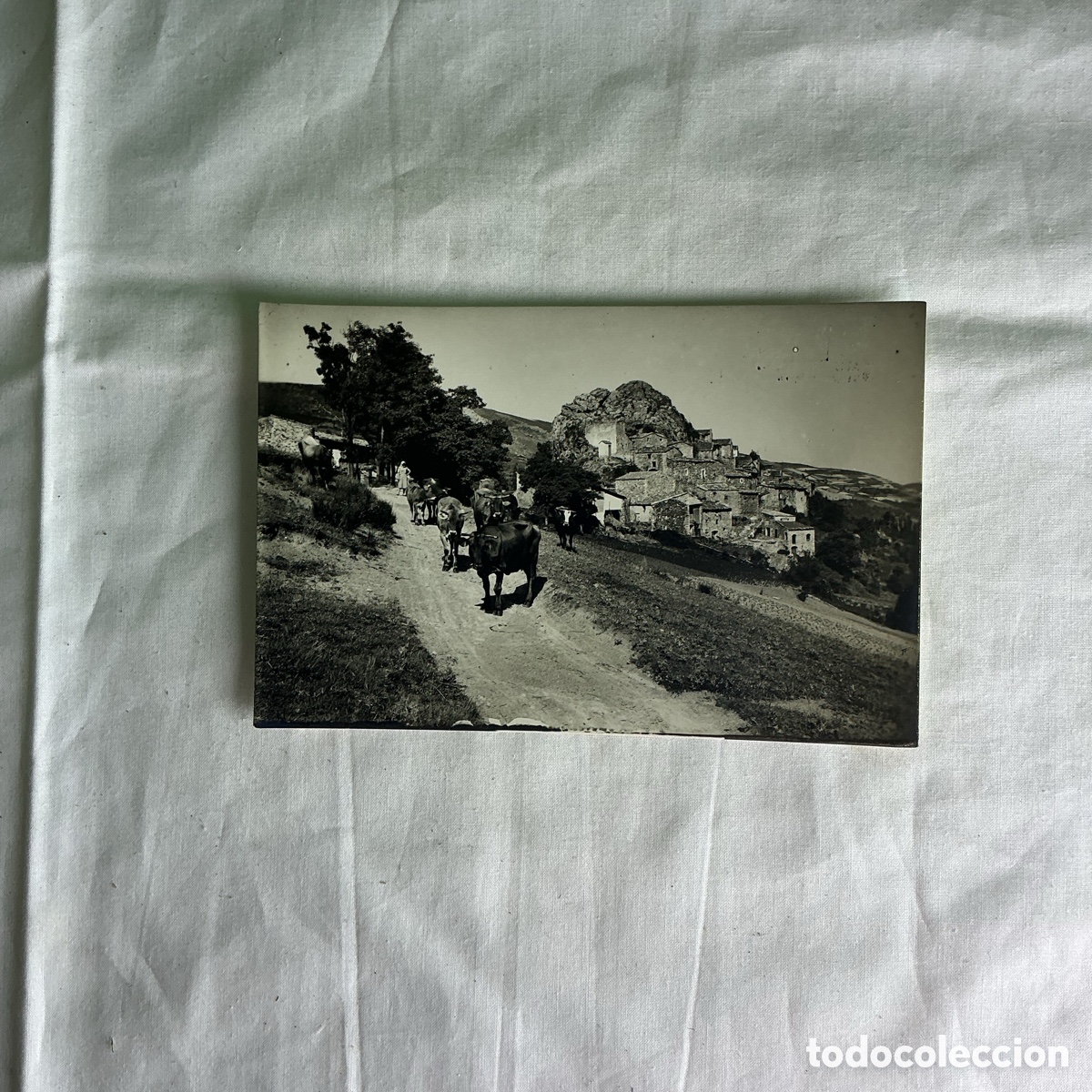 Postales: Postal Camprodon Pueblo de la Roca Blanco y negro Original de la &eacute;poca