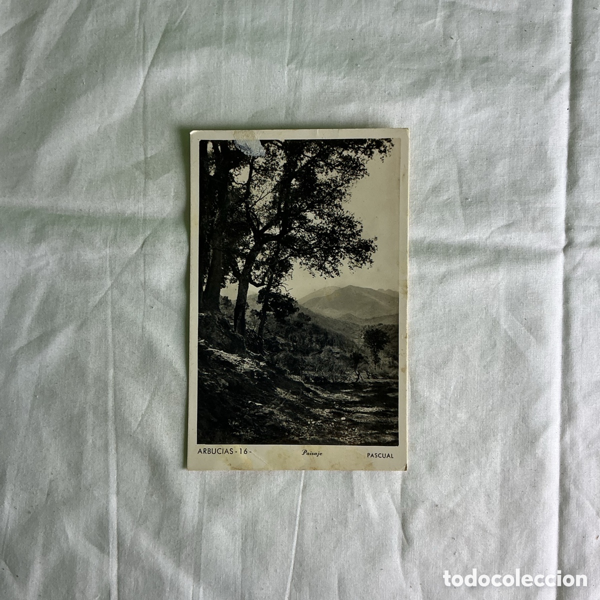Postales: Postal Arb&uacute;cies Paisaje Blanco y negro Original de la &eacute;poca 1948
