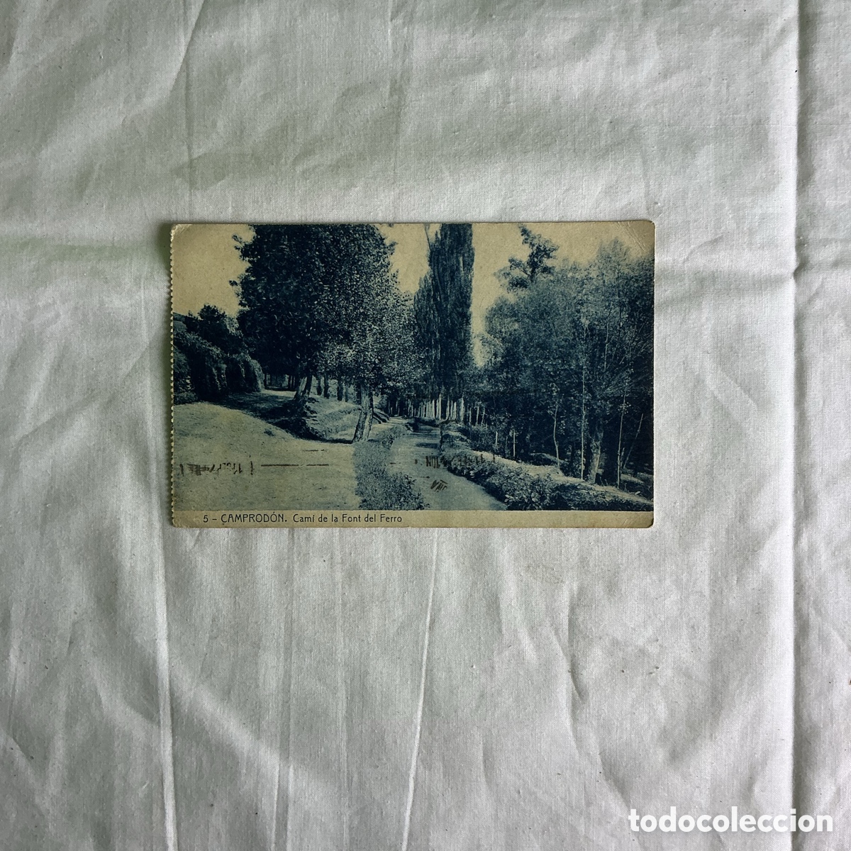 Postales: Postal Camprodon Cam&iacute; de la Font del Ferro Blanco y negro Original de la &eacute;poca 1928
