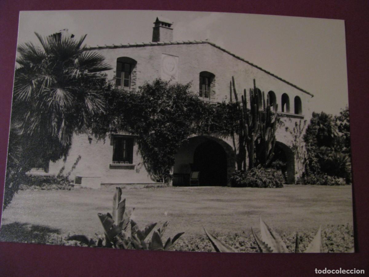 Postales: POSTAL FOTOGRAFICA DE JARDIN DE ACLIMATACION. PINYA DE ROSA. BLANES. FOTO TRULL