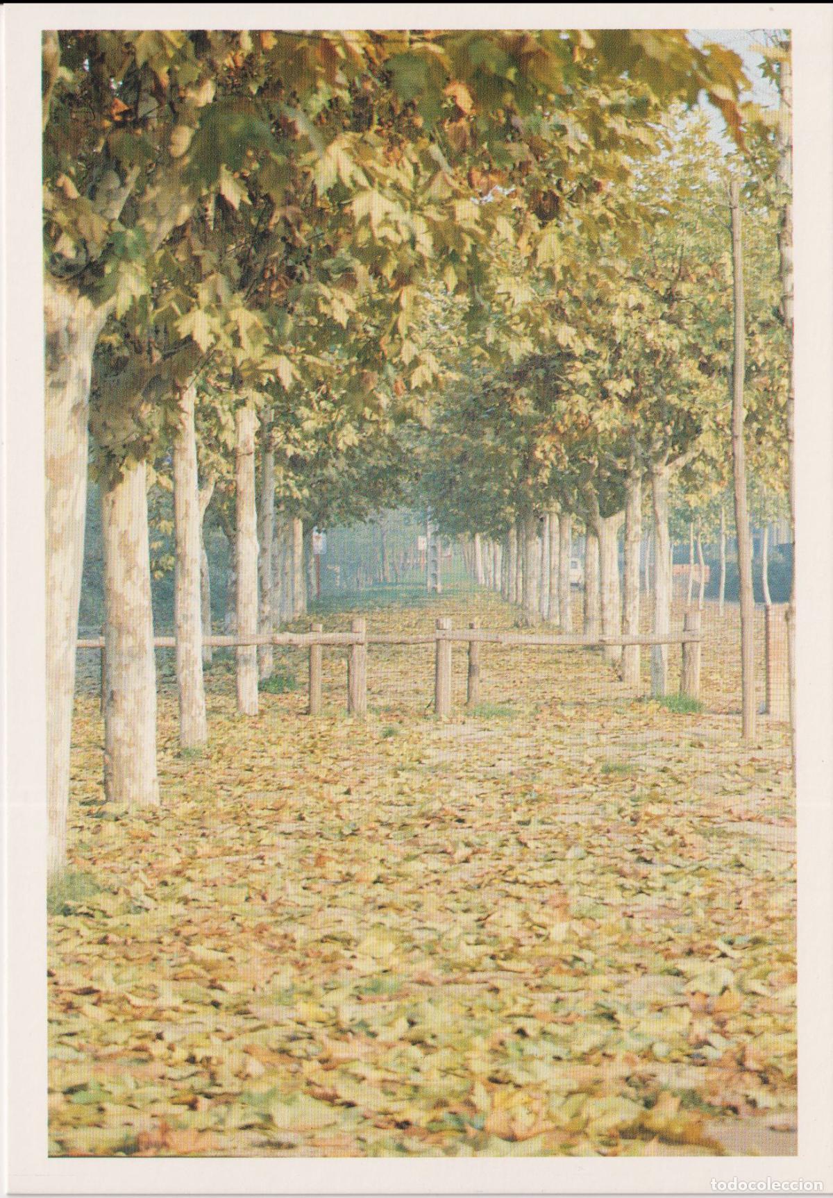 Postales: CARDEDEU, PASSEIG DE LA RIERA - CASAL DE CULTURA - FOTO: CHOPO.J.GARCIA DIE - S/C