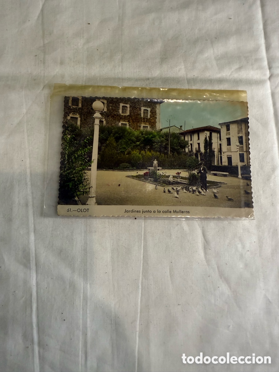 Postales: Postal Olot Jardines Calle Mulleras Color Original