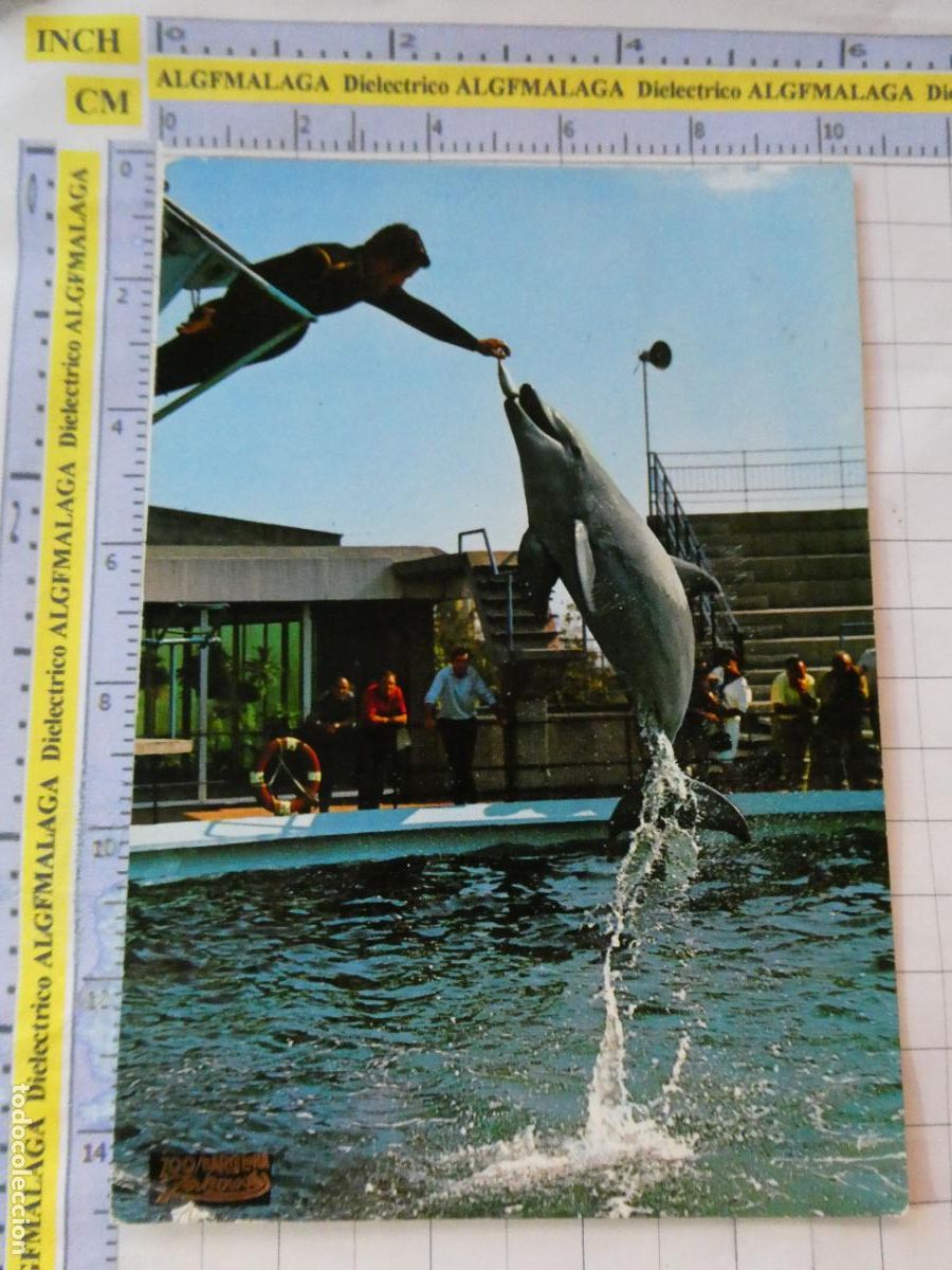 Postales: POSTAL DE BARCELONA. A&Ntilde;O 1968. PARQUE ZOOL&Oacute;GICO ZOO DELF&Iacute;N 12 ZERKOWITZ. 2576