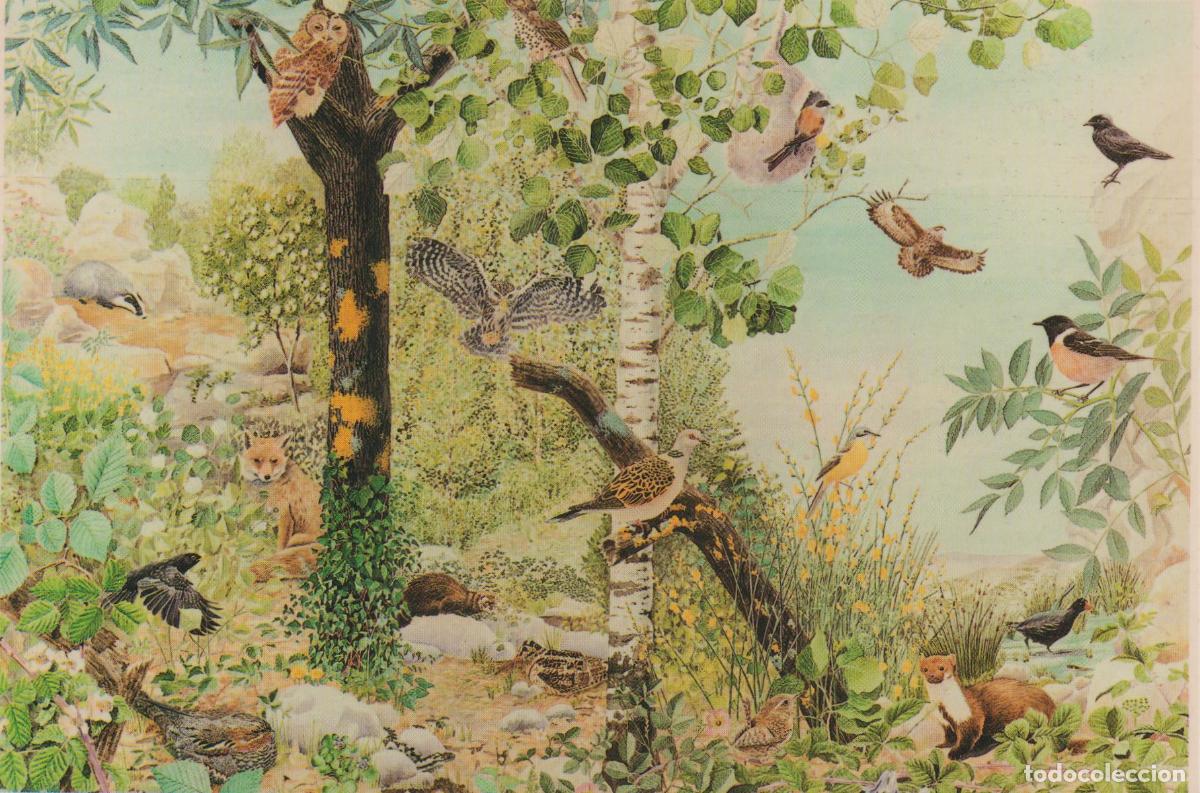 Postales: L'ESPLUGA DE FRANCOL&Iacute; (MUSEU DE LA VIDA RURAL) FAUNA DEL BARRANCS &ndash; FUNDACI&Oacute; JAUME I &ndash; S/C