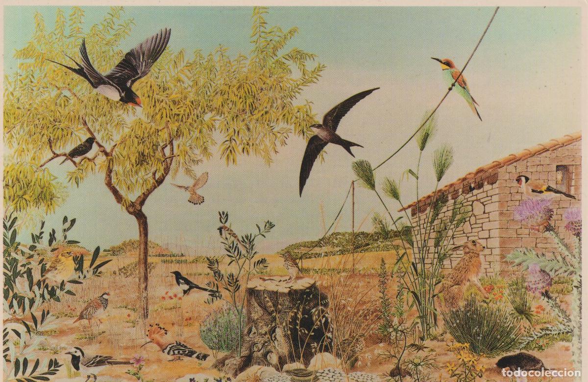 Postales: L'ESPLUGA DE FRANCOL&Iacute; (MUSEU DE LA VIDA RURAL) FAUNA DELS CONREUS &ndash; FUNDACI&Oacute; JAUME I &ndash; S/C