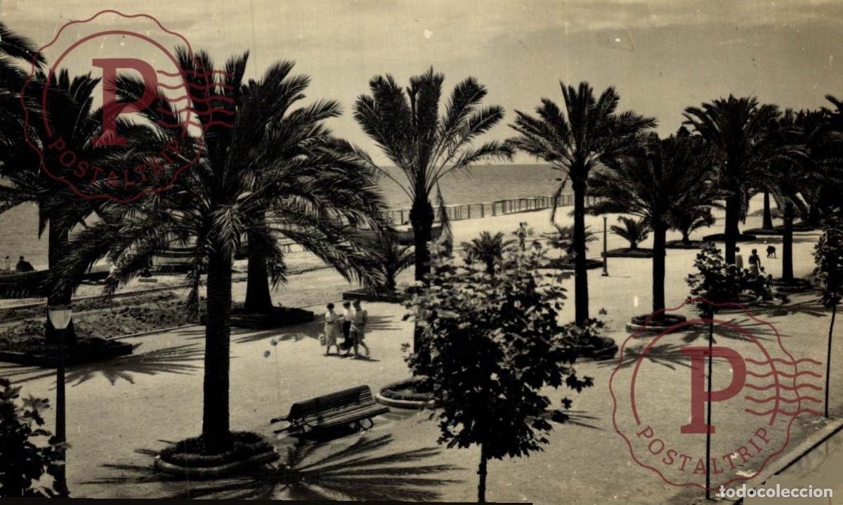 Cartes Postales: GERONA. GIRONA. Costa Brava - Lloret De Mar, Paseo Del Mar CATALU&Ntilde;A - ESPA&Ntilde;A. Postal Fotogr&aacute;fica. R.