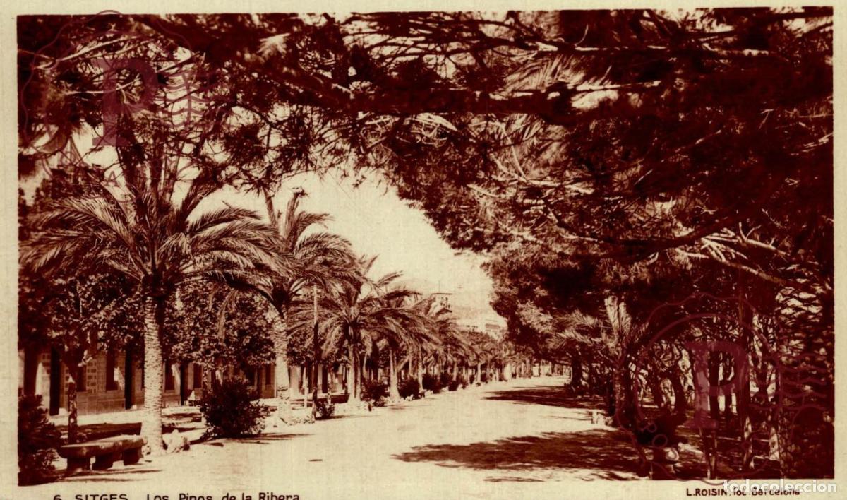 Postales: SITGES. Los Pinos De La Ribera. BARCELONA - CATALU&Ntilde;A - ESPA&Ntilde;A. Postal Fotogr&aacute;fica. R.P.P.C
