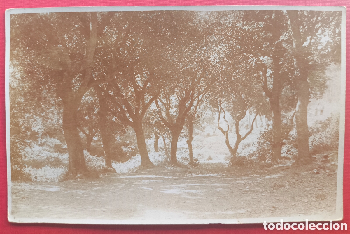 Postales: VALLVIDRERA BOSC POSTAL FOTOGR&Aacute;FICA FOTOGRAF&Iacute;A BARCELONA C. 1945