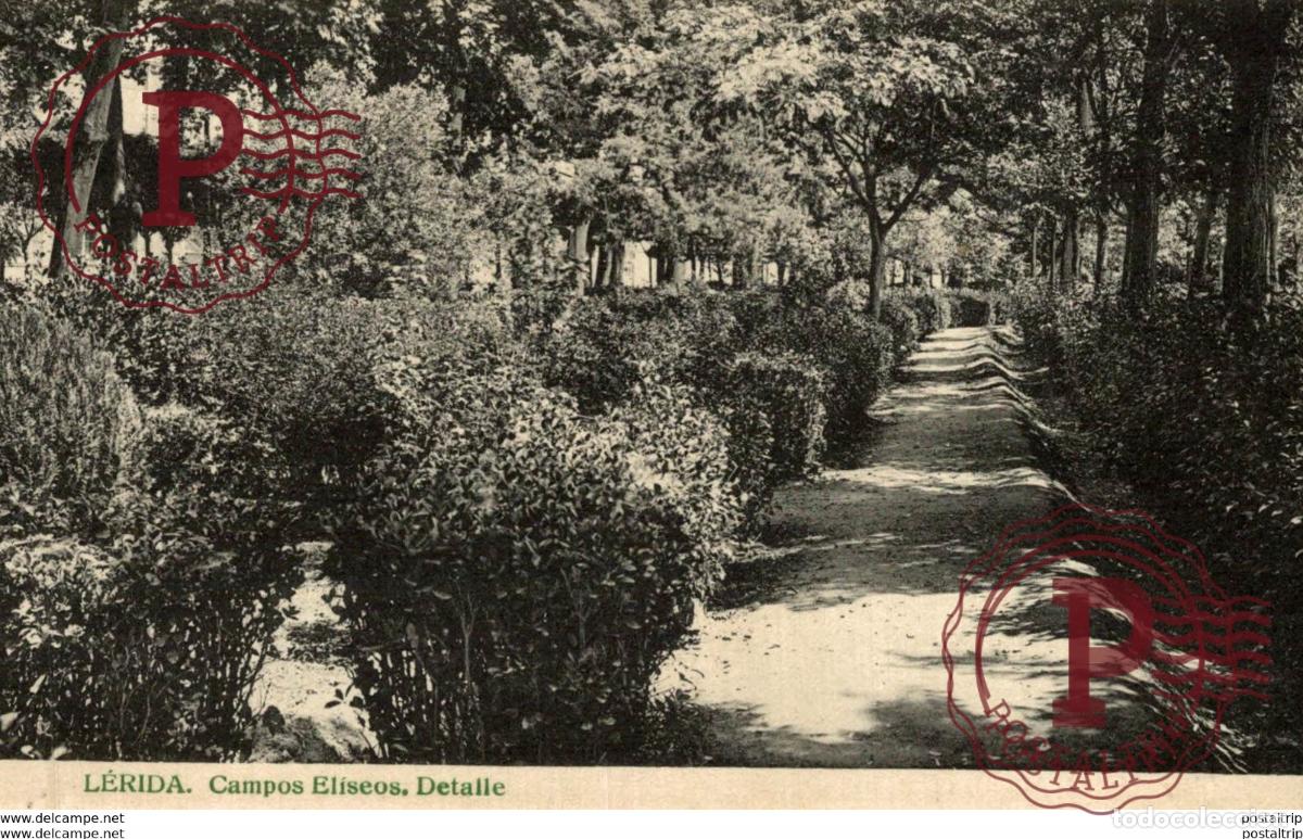 Postales: LERIDA, CAMPOS ELISEOS DETALLE