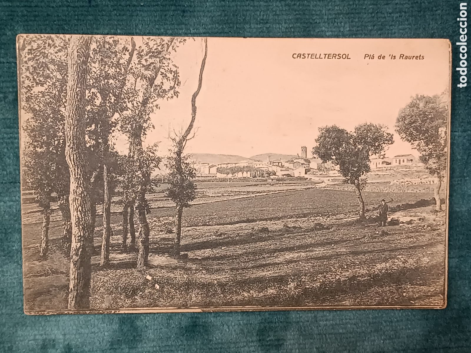 Postales: CASTELLTERSOL. Pla de'ls Raurets. (Castellter&ccedil;ol)