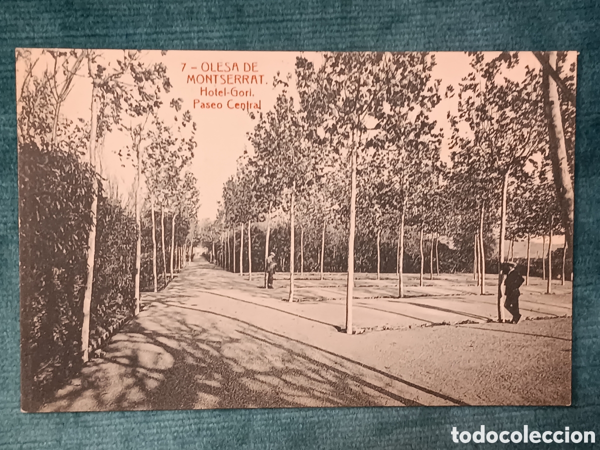 Postales: 7 OLESA DE MONTSERRAT. Hotel Gori. Paseo Central