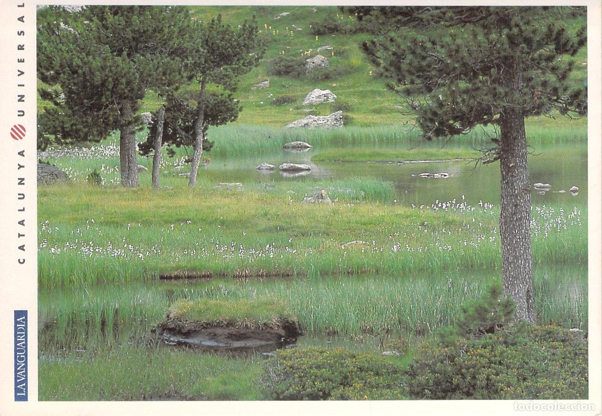 Postales: Postal del Parque Nacional de Aig&uuml;estortes y Sant Maurici en primavera